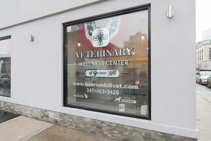 Veterinary Wellness Center of Boerum Hill Picture 1