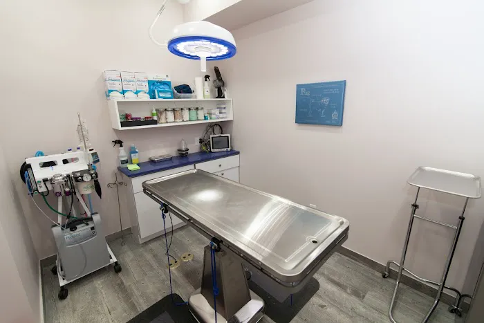 Veterinary Wellness Center of Boerum Hill Picture 2