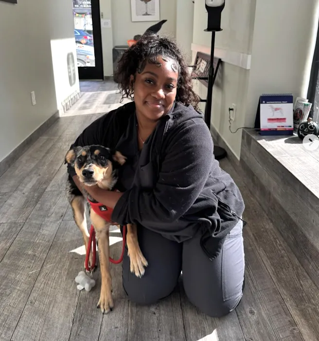 Veterinary Wellness Center of Boerum Hill Picture 6