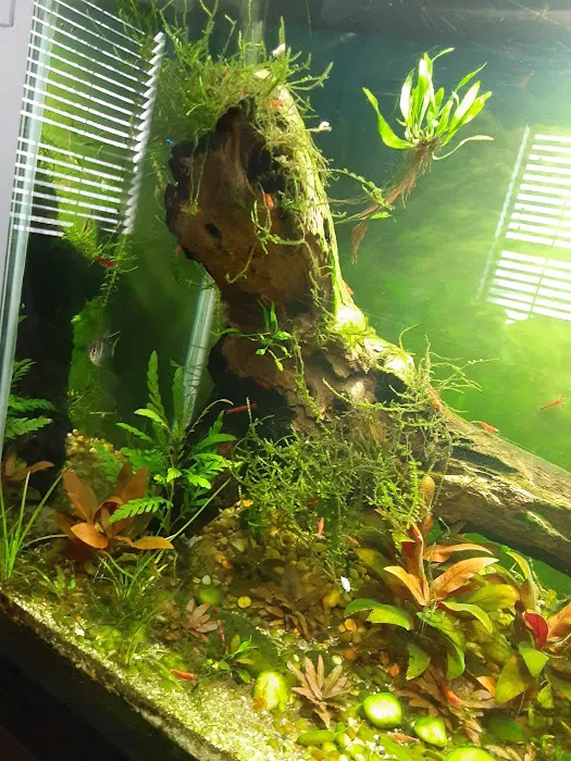 House Of Tropical Fish Picture 5