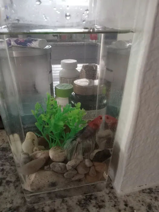 House Of Tropical Fish Picture 3