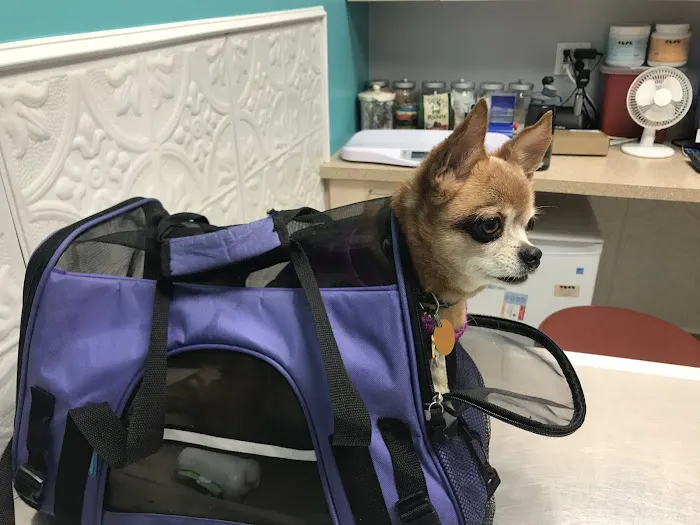 Crown Heights Animal Hospital Picture 4