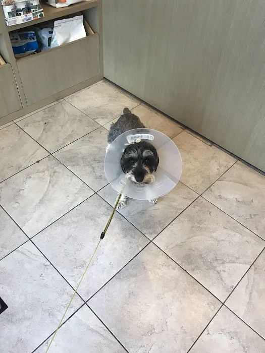 Crown Heights Animal Hospital Picture 8