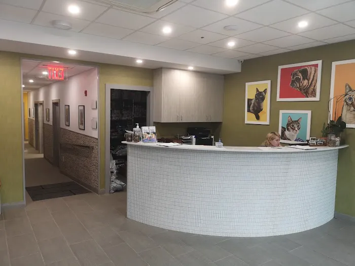 Franklin Ave Animal Hospital Picture 3