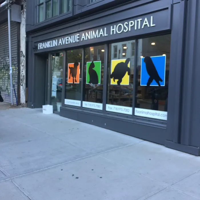 Franklin Ave Animal Hospital Picture 8