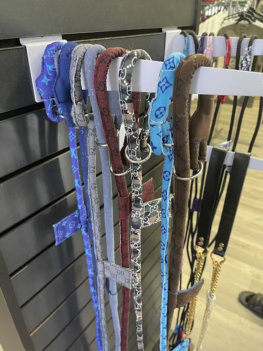 The doggie depot Picture 6