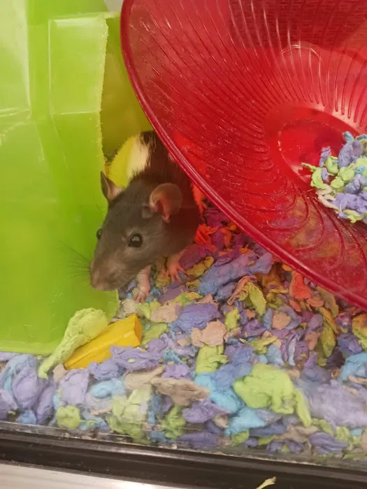 Petco Picture 4