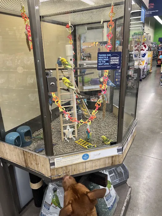 Petco Picture 7