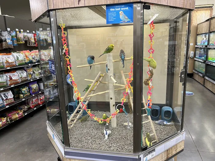 Petco Picture 6