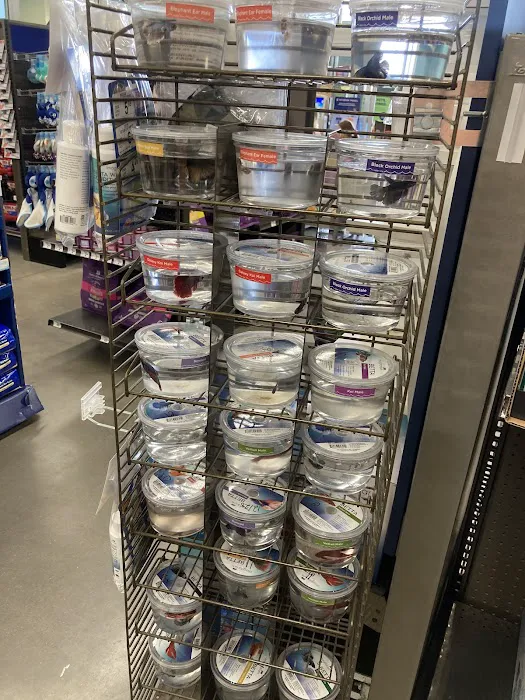 Petco Picture 8
