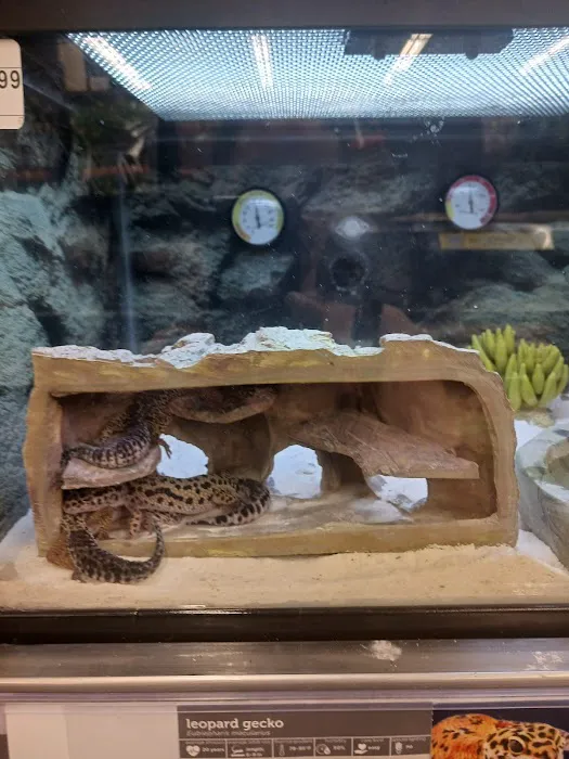 Petco Picture 10