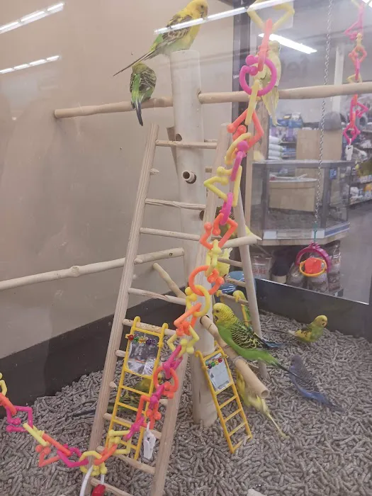 Petco Picture 9