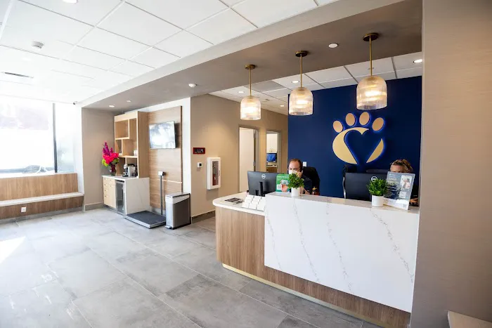 Heart of Chelsea Veterinary Group - Prospect Heights Picture 2