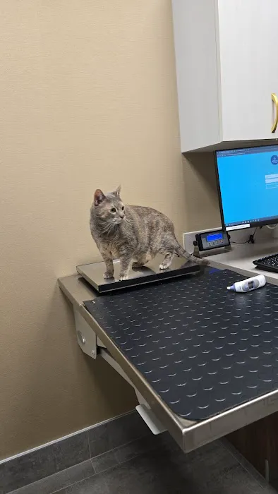 Heart of Chelsea Veterinary Group - Prospect Heights Picture 6
