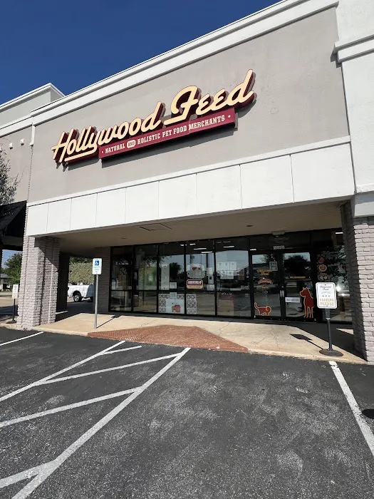 Hollywood Feed Picture 2