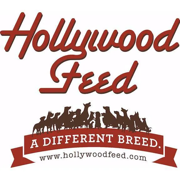 Hollywood Feed Picture 9