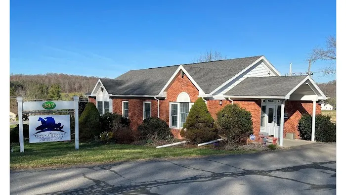 Town & Country Veterinary Services, PC Picture 1