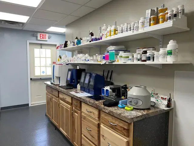 Town & Country Veterinary Services, PC Picture 3
