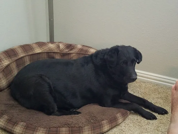 Petco Picture 2