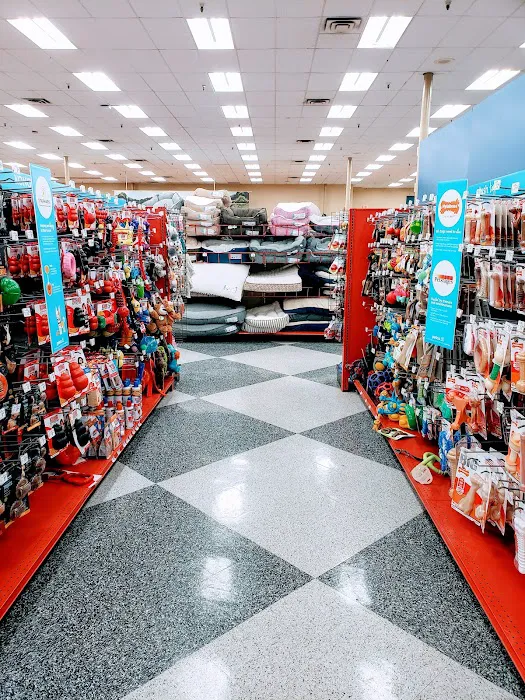 Petco Picture 4