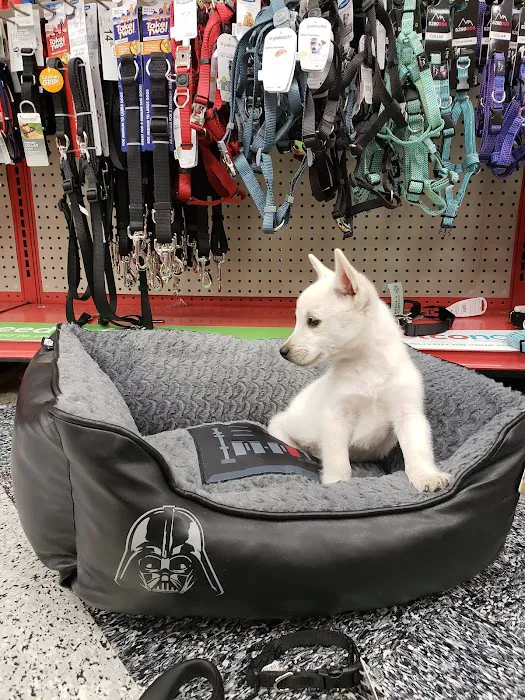 Petco Picture 6