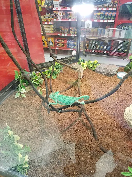 Petco Picture 9