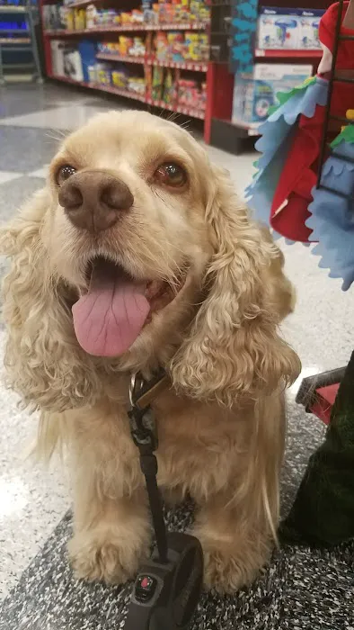 Petco Picture 7