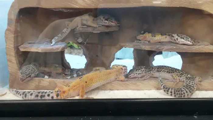Petco Picture 10