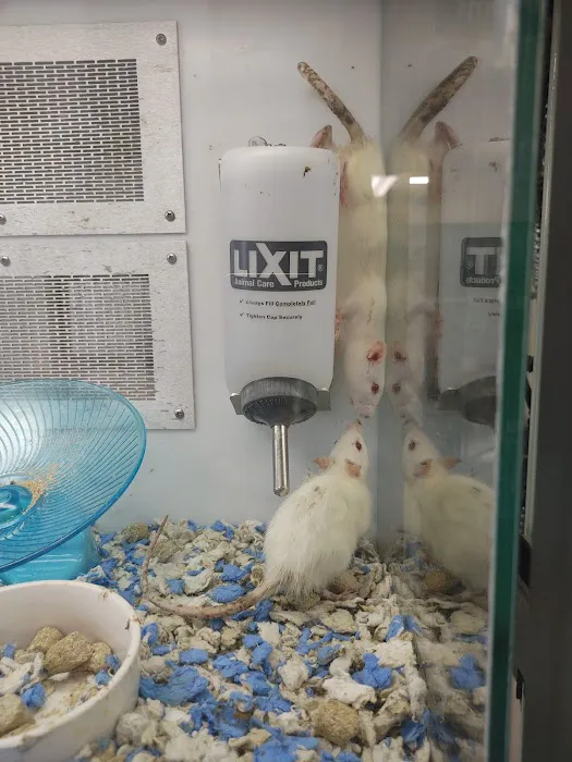 Petco Picture 1