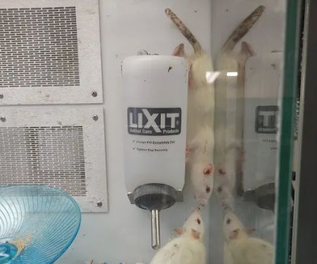 Petco