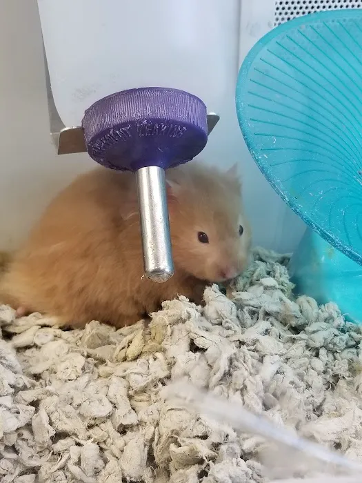 Petco Picture 6