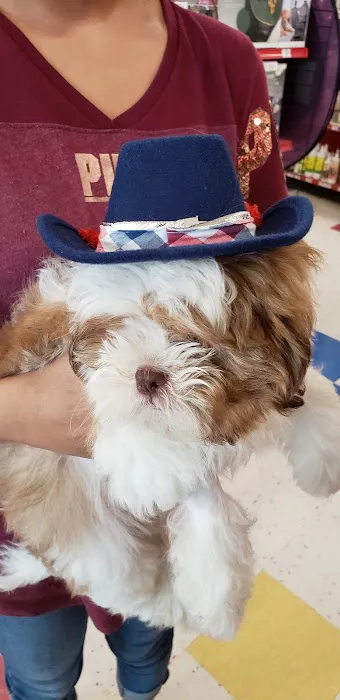 Petco Picture 5
