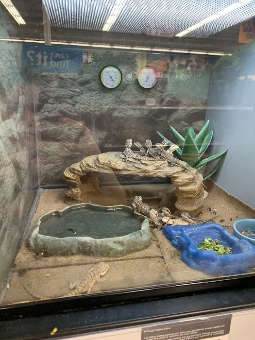 Petco Picture 4