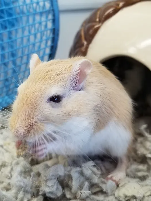 Petco Picture 9