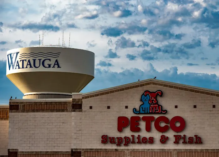 Petco Picture 7
