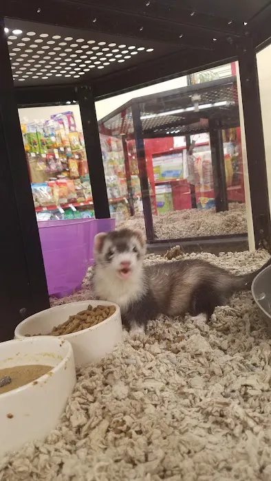 Petco Picture 8
