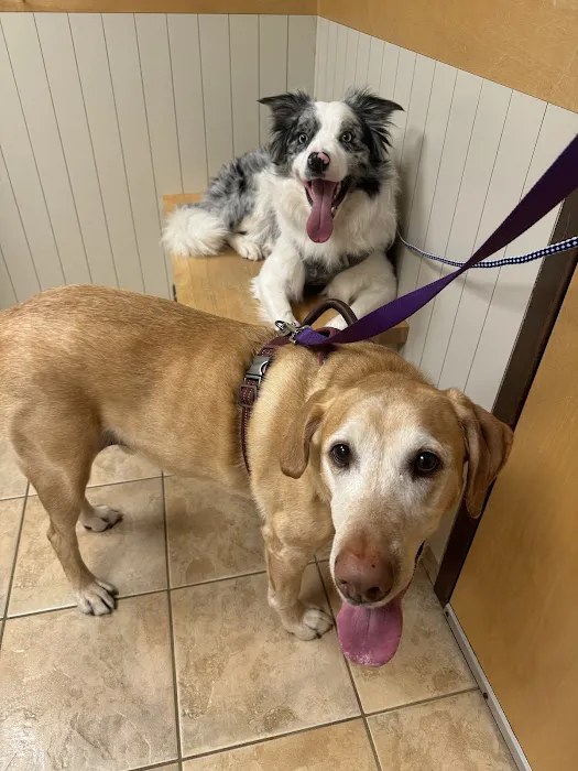Ramsey Veterinary Hospital Picture 2