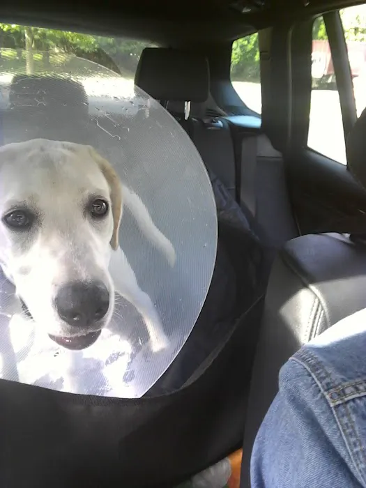 Ramsey Veterinary Hospital Picture 9