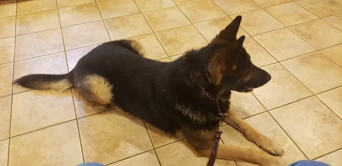 Ramsey Veterinary Hospital Picture 5
