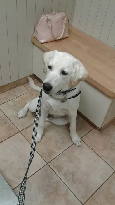 Ramsey Veterinary Hospital Picture 8