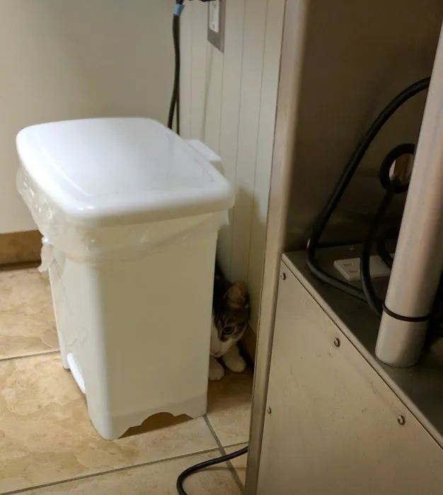 Ramsey Veterinary Hospital Picture 10
