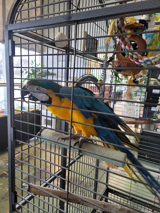 Pet Village Picture 3
