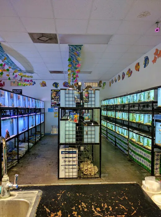 Pet Village Picture 1