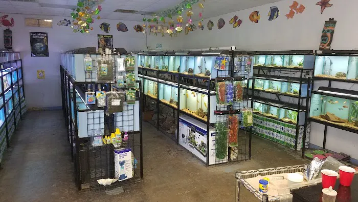 Pet Village Picture 6