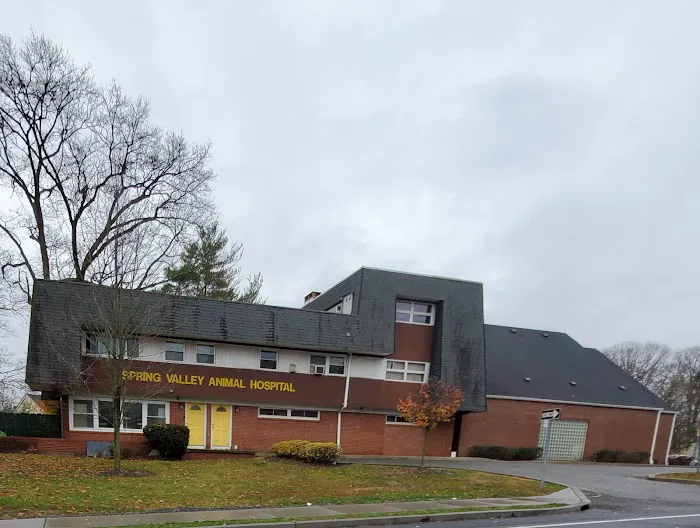 Spring Valley Animal Hospital Picture 2