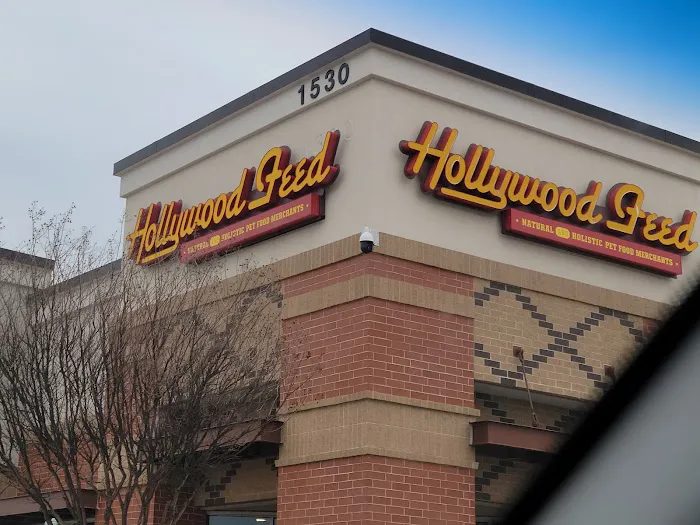 Hollywood Feed Picture 3