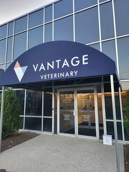 Vantage Veterinary Surgery Picture 4