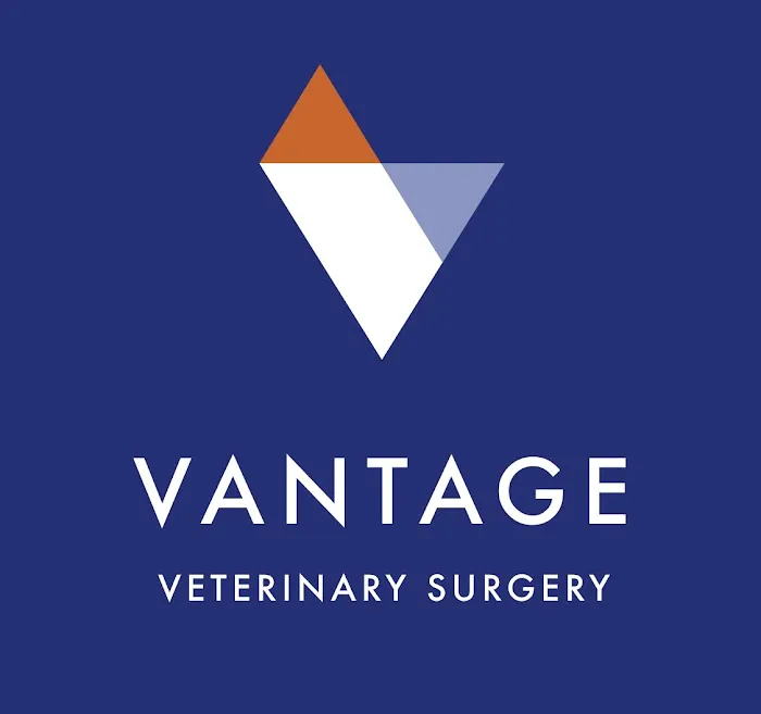 Vantage Veterinary Surgery Picture 9