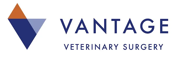 Vantage Veterinary Surgery Picture 10