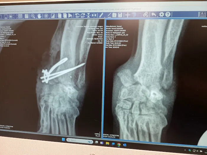 Vantage Veterinary Surgery Picture 7